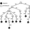 Researchers Develop Algorithm to Maximize Friendship Acceptance By Strangers on Social Networks