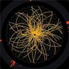 Physicists Say They Have Found a Higgs Boson