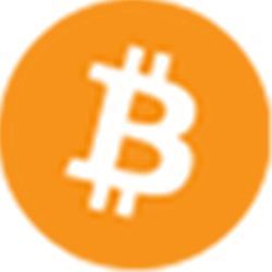 A common Bitcoin logo