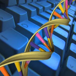 DNA and computer