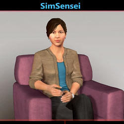 An image from the SimSensei program.