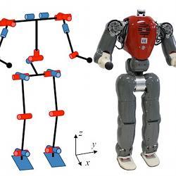 The COMAN robot, and a representation of the way its joints work.