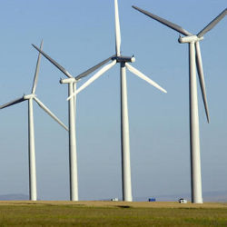 wind farm