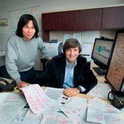 Tin Yau Pang and Sergei Maslov of Stony Brook University