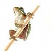 Frog-Like Robot Will Help Surgeons