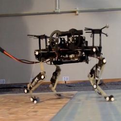 The Cheetah-Cub robotic quadruped.