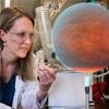 Nasa's Spitzer Puts Planets in a Petri Dish