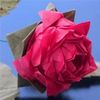 Better Origami ­sing Nature and Maths