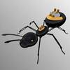 Principles of Ant Locomotion Could Help Future Robot Teams Work ­nderground