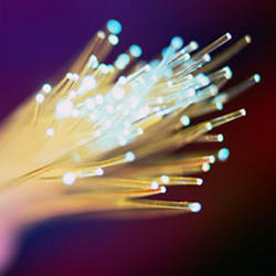 The individual fiber strands of a fiber-optic cable. 