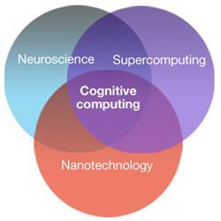 IBM's vision for cognitive computing.