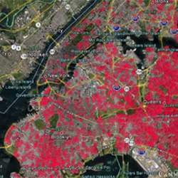 A visualization of downed trees in New York City after Hurricane Sandy.