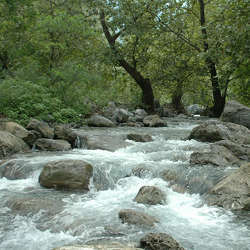 A stream in Monterrey, Mexico. 