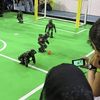 Move Over Messi, Here Come the Robots