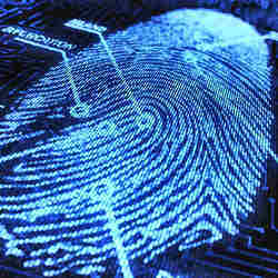 Details of a fingerprint.