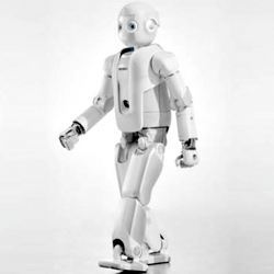 The Roboray humanoid robot. 