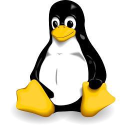 The Linux penguin logo.