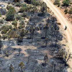 Firefighters cross an area burned by a wildfire.