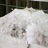 A Mind-Blowing Dome Made By 6,500 Computer-Guided Silkworms