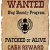 Bug Bounty Programs Beat Internal Researchers