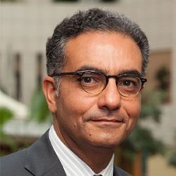 ICANN president and CEO Fadi Chehade.