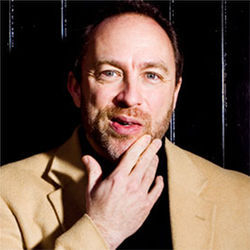 Jimmy Wales, Wikipedia