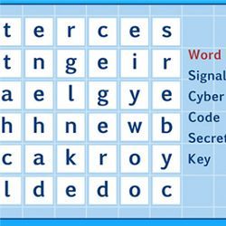 NSA word search