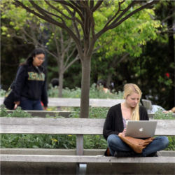 UC Berkeley students