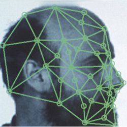 facial recognition grid