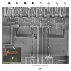 A scanning electron microscope image of a logic circuit based on 14 nanowires.