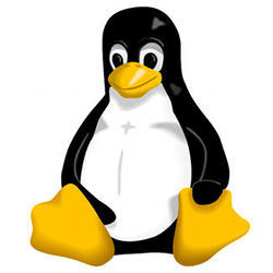 The Linux penguin logo