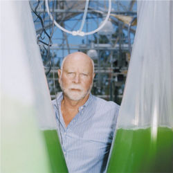 Craig Venter, Synthetic Genomics