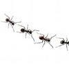 Hive-Mind Solves Tasks Using Google Glass Ant Game