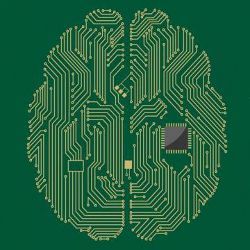 brain as computer circuit, illustration