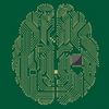 Researchers Building a Computer Chip Based on the Human Brain