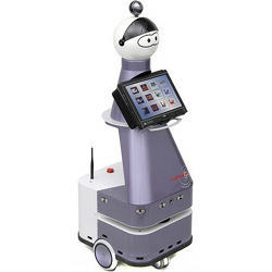 The customizable robot companion for the elderly.