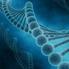 New Tool Enhances the Search For Genetic Mutations