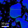 For Better Li-ion Batteries, Scientists Watch One at Work