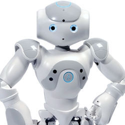 Nao robot