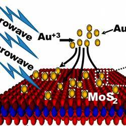 A representation of how gold nanoparticles improve the electrical characteristics of molybdenum disulfide.