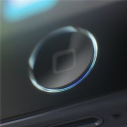 Detection ring on iPhone 5S