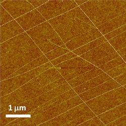 Graphene nanoribbons