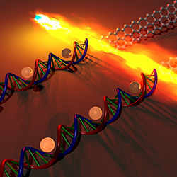 The honeycomb at right represents graphene atoms; to the left is a double strand of DNA. The white spheres represent copper ions; the fire represents the heat essential to the technique. 