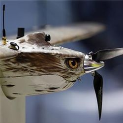 Shepherd-MIL unmanned aerial vehicle