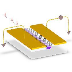 graphene-on-silicon photodetector, illustration