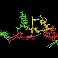 RNA tetraloop