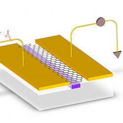 Artist's view of the new graphene-on-silicon photodetector.