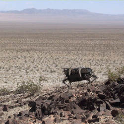 The Legged Squad Support System, a four-legged robot the military uses to carry up to 400 lbs. of equipment.