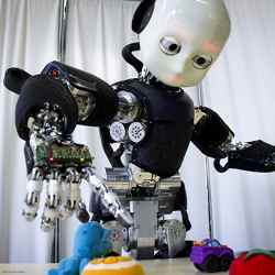 The iCub humanoid robot.