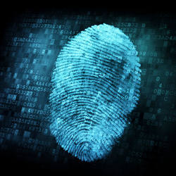 A fingerprint.